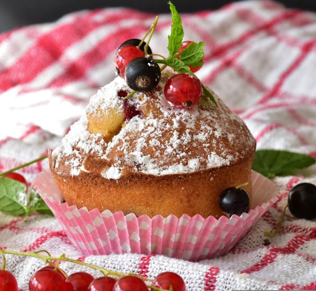 muffin 3510308
